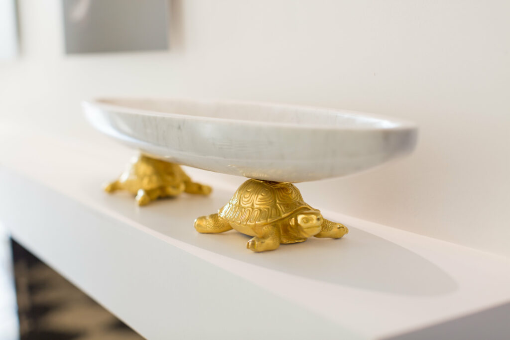 coupe Coupe aux tortues