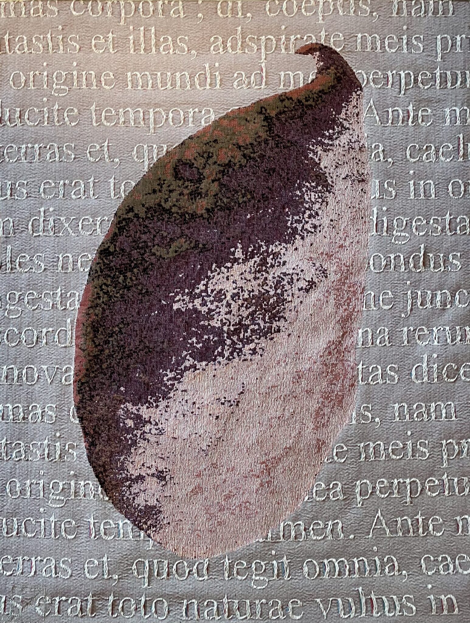On the reverse side of the tapestry is woven a poem by Ovid. Sur l'envers de la tapisserie est tissé une poème d'Ovide